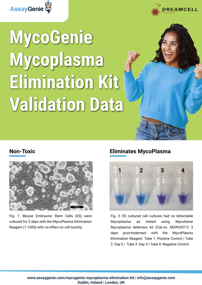 MycoGenie Mycoplasma Elimination Kit_앞.jpg