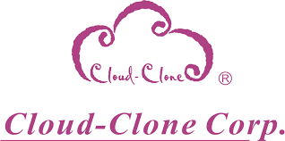 Cloud-clone