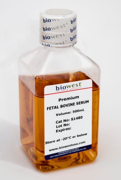 [S1480] Fetal Bovine Serum, US ORIGIN, Premium, 500mL
