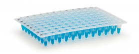 [Plates] 200µL, Low Profile, PCR Plate 