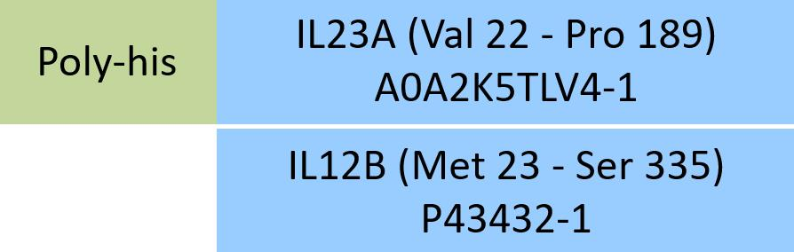 [ILB-CM52W8] IL23A & IL12B