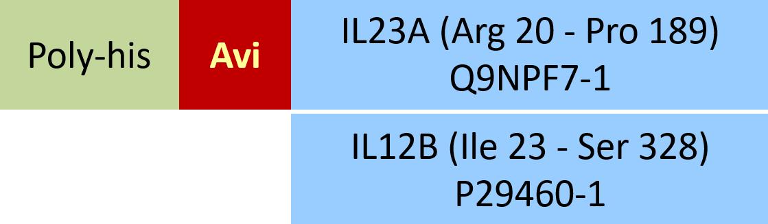 [ILB-H82W6] IL23A & IL12B