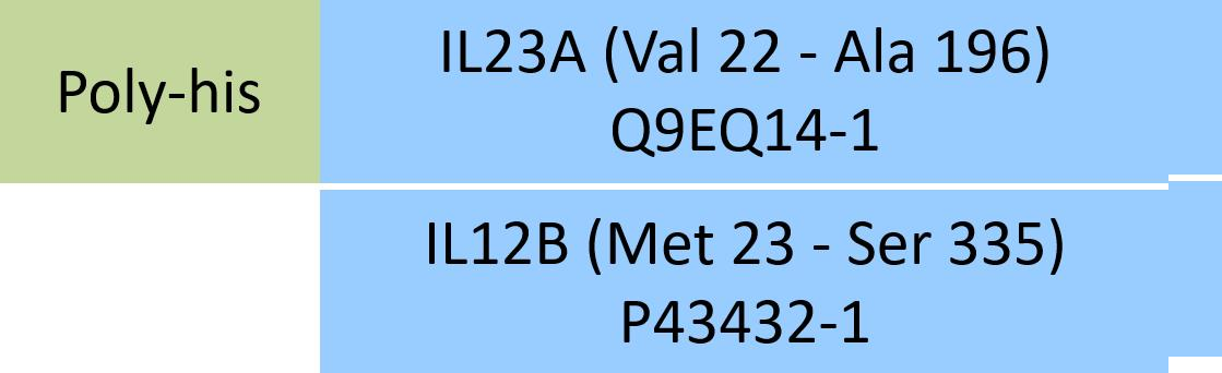 [ILB-M52W7] IL23A & IL12B