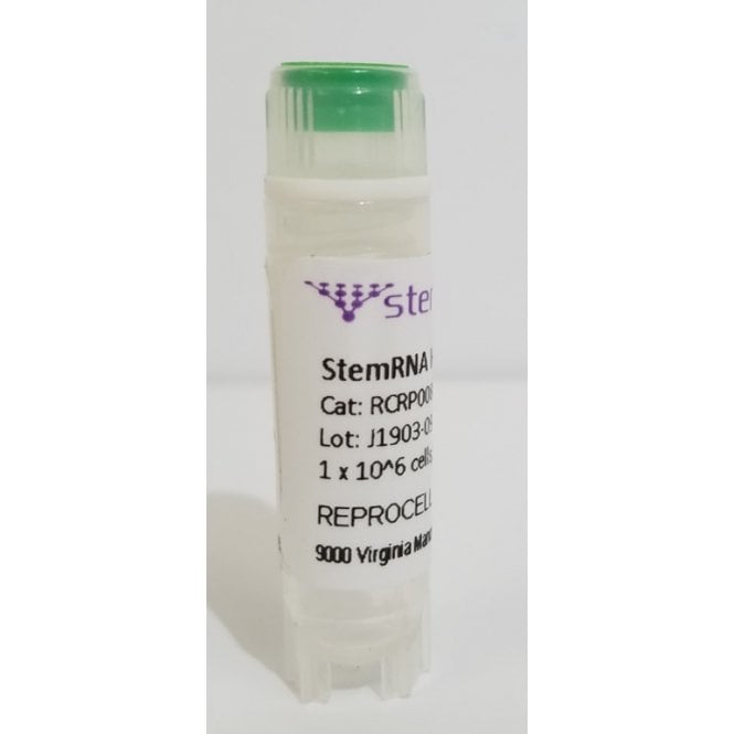 [RCRP009N] StemRNA Human IPS (1 vial)