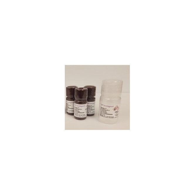 [00-0055] StemAb Alkaline Phosphatase Staining Kit II (1 kit (50 assays))