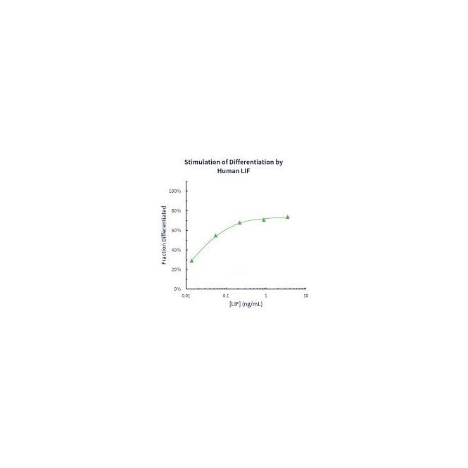 [03-0016] Stemfactor LIF, Human Recombinant (1mL, 10ug/mL)