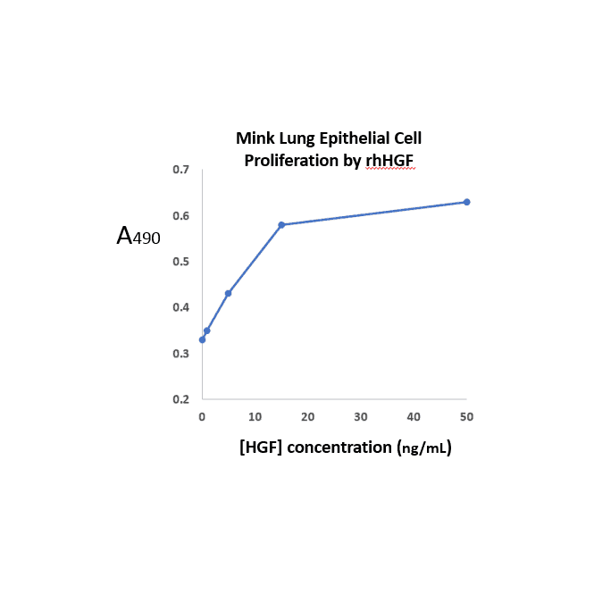 [03-0019] Stemfactor Hepatocyte Growth Factor, Human Recombinant (25ug)