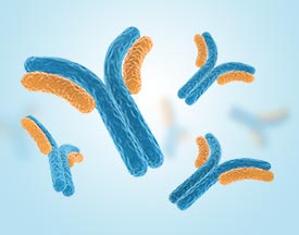 [CSB-MA802349] Nano-Tag9 Monoclonal Antibody