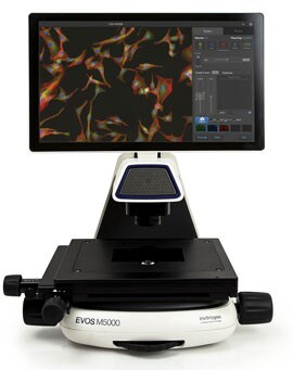 EVOS Cell Imaging Systems