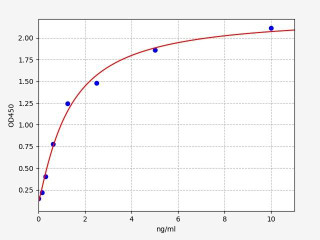 Rat NFIL-3 ELISA Kit