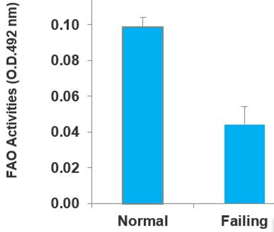 Fatty Acid Oxidation Assay