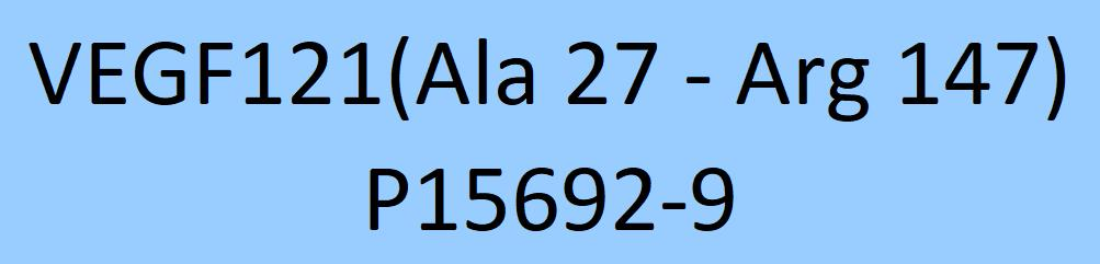 [VE1-H4213] VEGF121