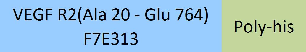 [VE2-C52H3] VEGF R2