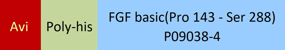 [FGC-H81E3] FGF basic