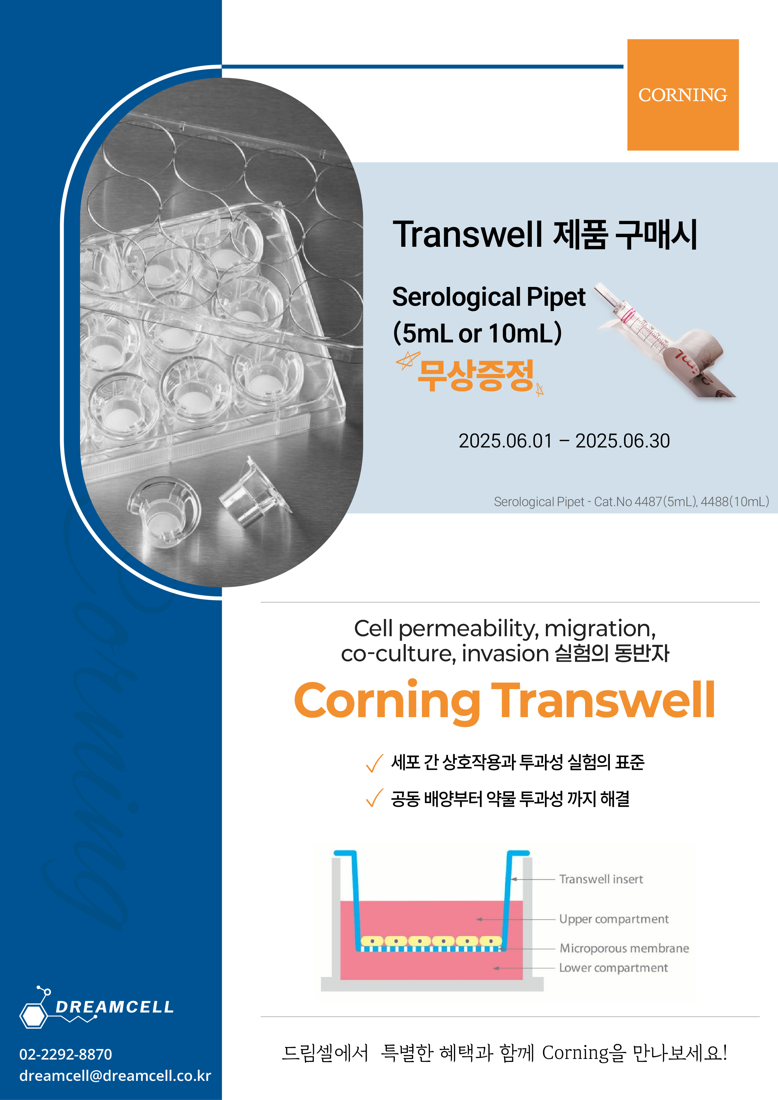 [Corning] 코닝 6월 드림셀 특별 행사!- Transwell 주문하면 Serological Pipet이 무료!