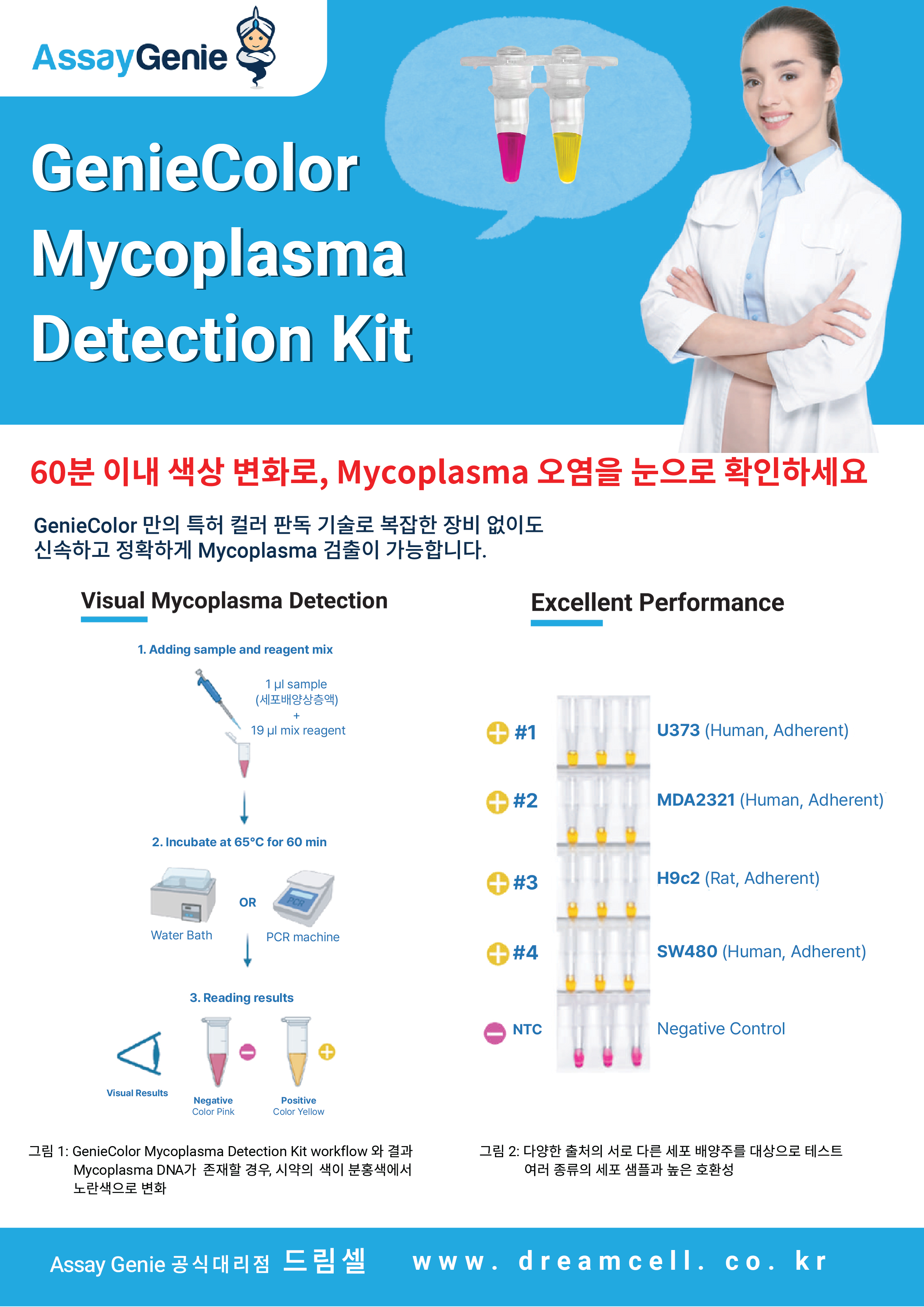 [Assay Genie 공식대리점 드림셀] GenieColor Mycoplasma Detection Kit 20% 파격 할인 프로모션