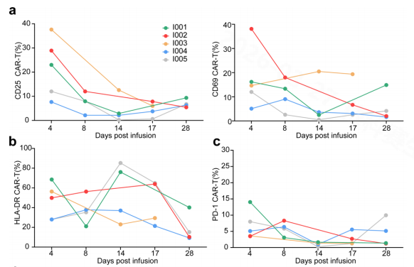 Figure 10: Functional Activation and Phenotypic Dynamics of CAR-T Cells After ESO-T01 Infusion