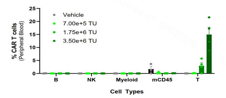 Figure 5: BCMA CAR Expression in Peripheral Blood Cells on Day 7 Post-Injection