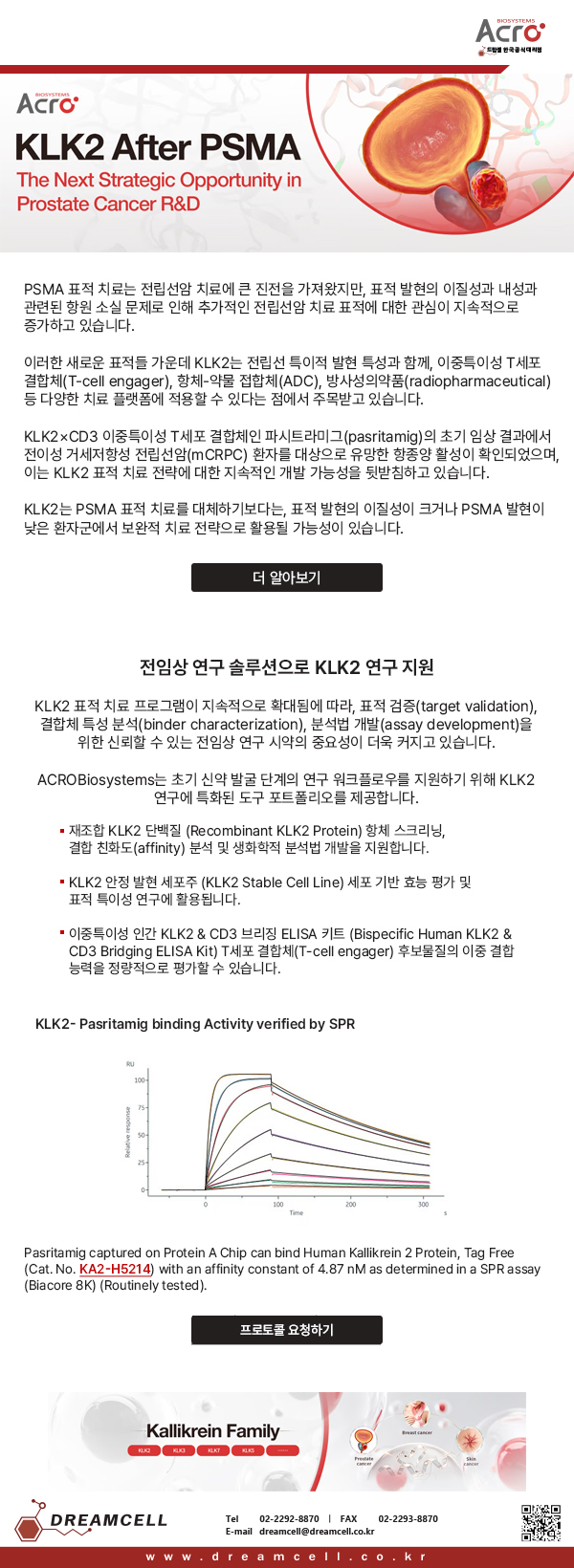 ACROBiosystems 공식대리점 드림셀이 제공하는 Human KLK2 Protein과 Pasritamig의 SPR 결합 활성 분석 데이터 그래프