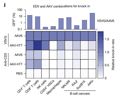 Figure 7:Distribution of Different VSVG Envelope Delivery Vectors in Immune Cells-2