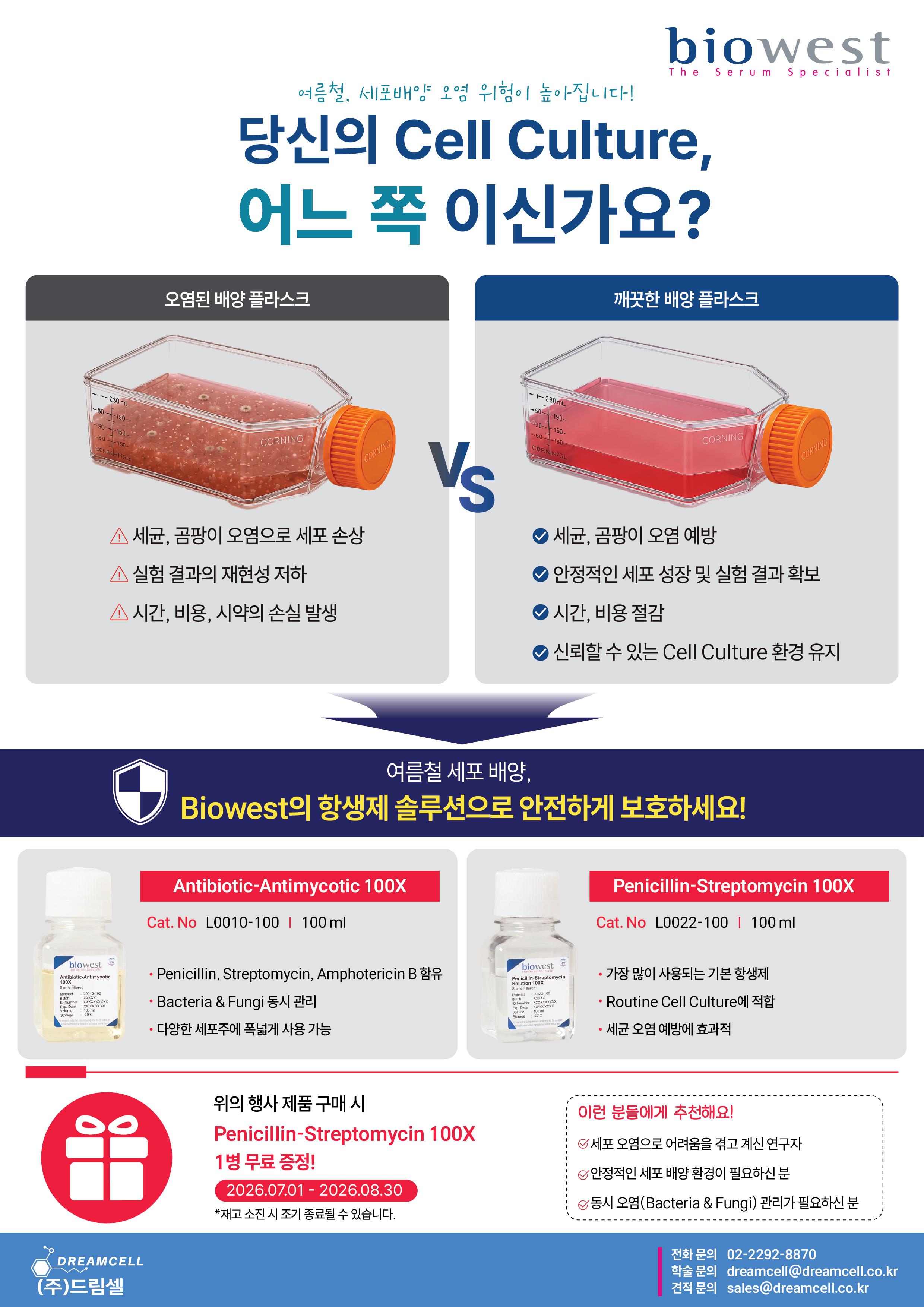 Biowest 한국대리점 드림셀, 여름철 Cell Culture 오염 방지 항생제 및 마이코플라즈마 솔루션 안내