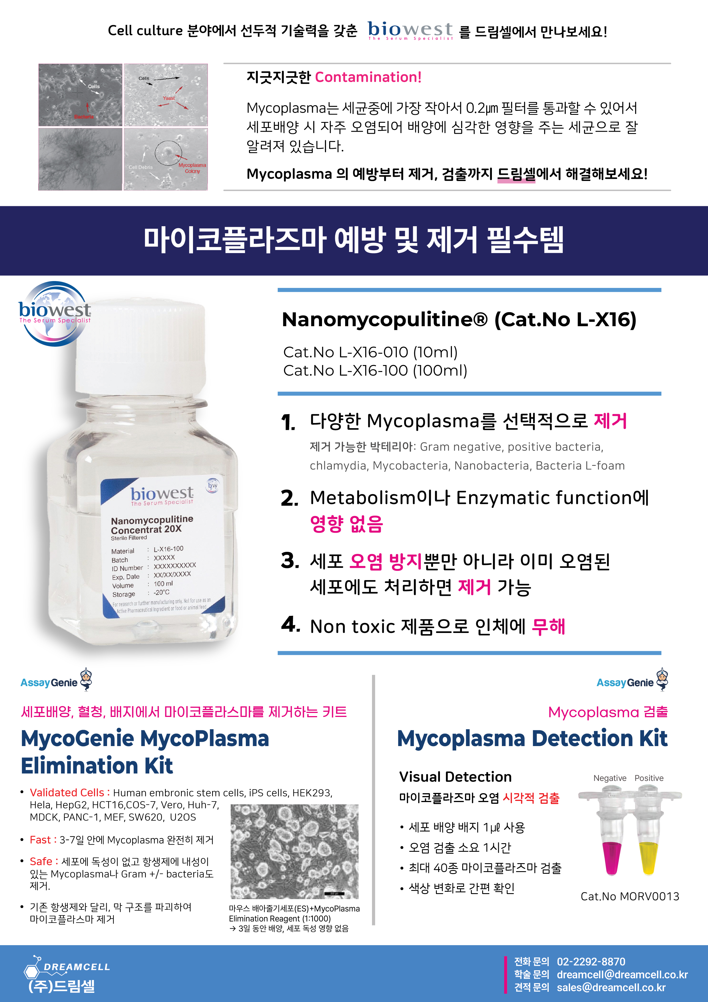 biowest 한국대리점 드림셀 마이코플라즈마 예방 및 제거 시스템 cell culture bacteria 오염 방지 항생제 솔루션